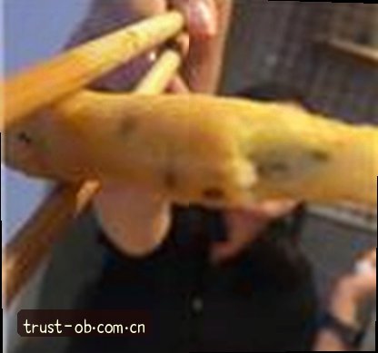 王强